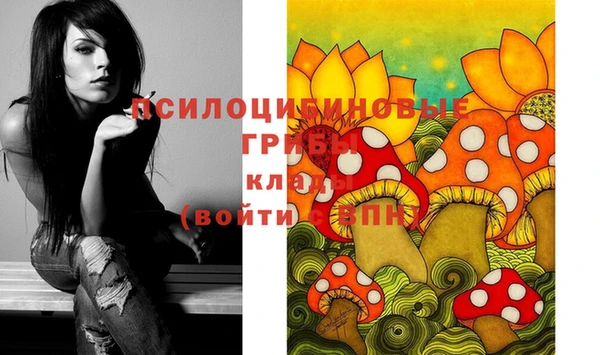 марки nbome Алексеевка
