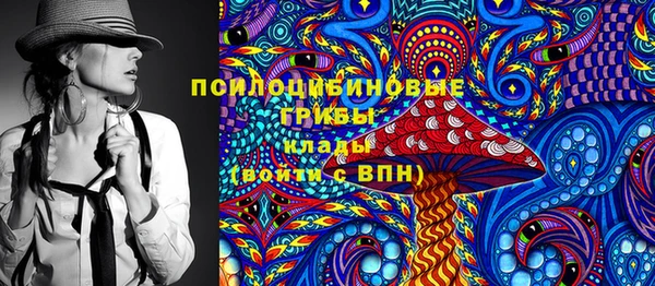 прущие грибы Алексин
