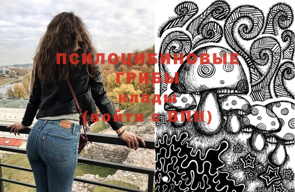 прущие грибы Алексин