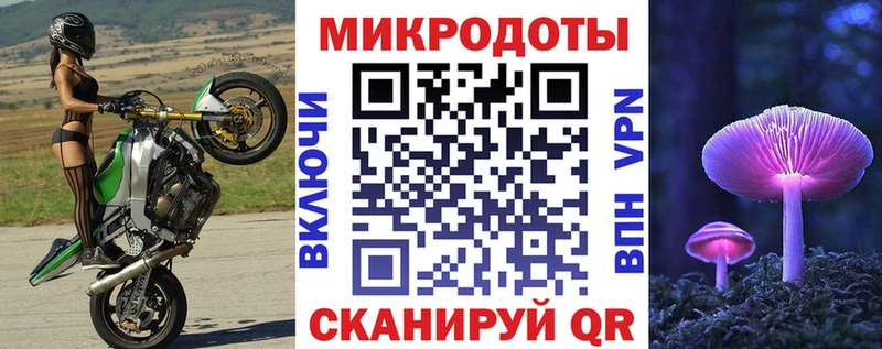 Псилоцибиновые грибы Cubensis цена Канск