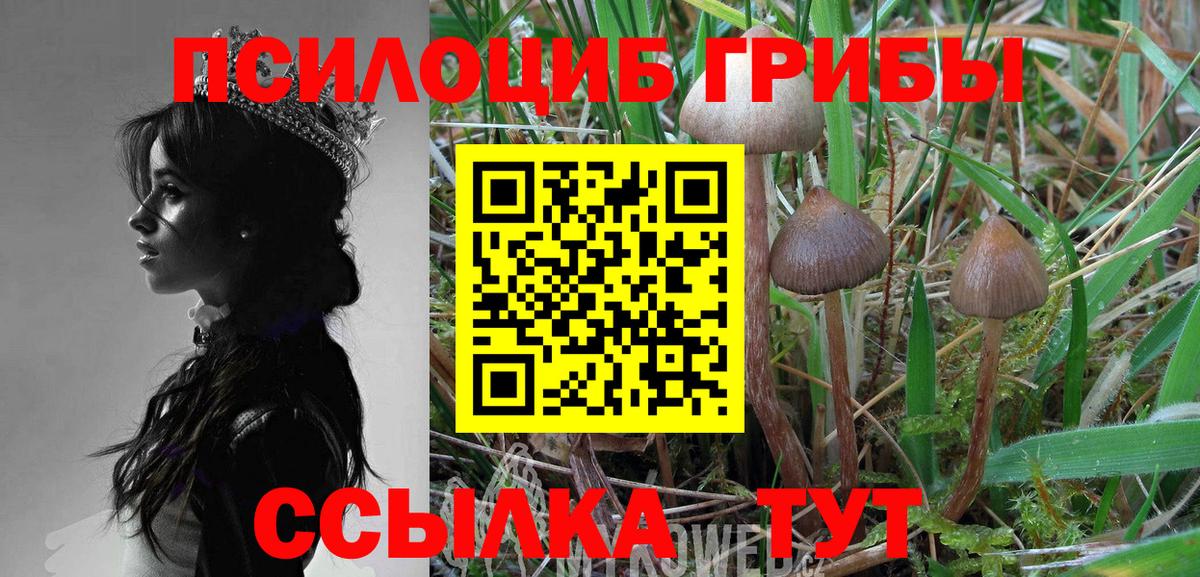 Галлюциногенные грибы мухоморы  Вход с VPN  Канск  Псилоцибиновые грибы прущие грибы 