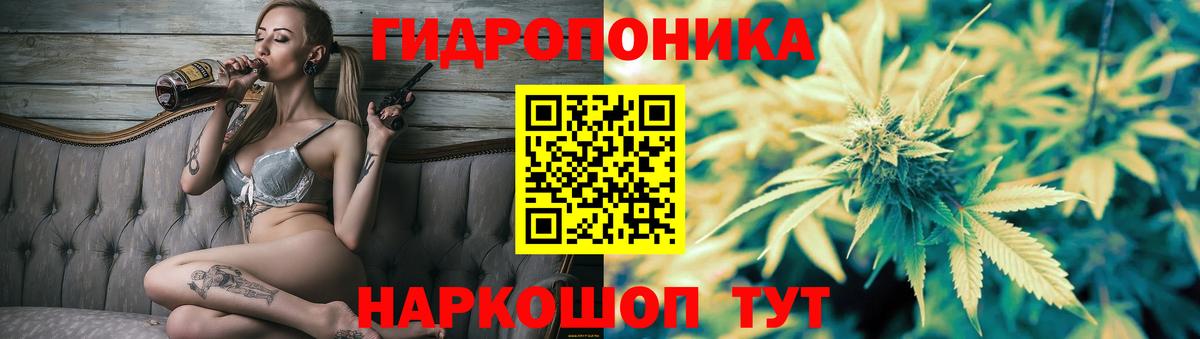 Бошки марихуана планчик Канск